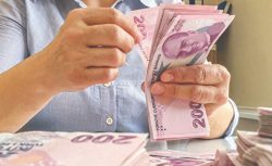 Yardım parası ödemeleri başladı: TC kimlik ile ödenecek!